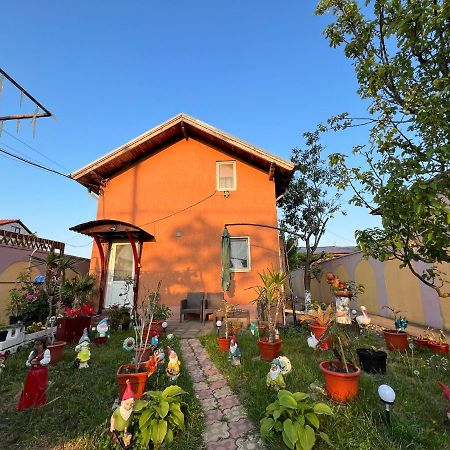ホテル Casa Daniela コスティネシュティ エクステリア 写真