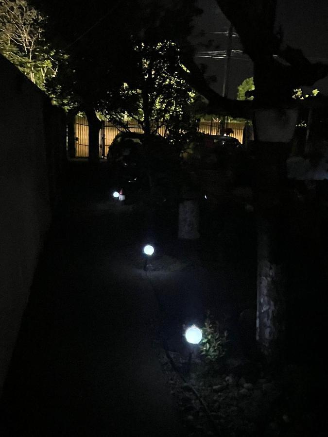 ホテル Casa Daniela コスティネシュティ エクステリア 写真